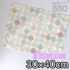 Item thumbnail for item 2a5e3831-f1d9-4578-a308-8898be4f93df