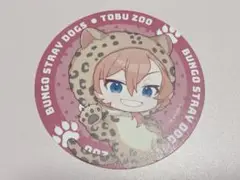 文豪ストレイドッグス 東武動物公園コラボ