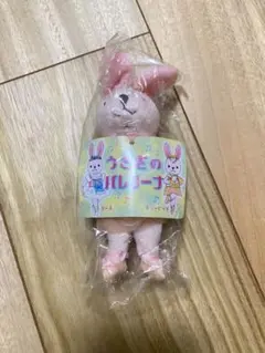 うさぎバレリーナ バレエ バレエシューズ