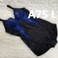 Item thumbnail for item 69aab4c0-9e81-49dc-95b6-5de42a73b817