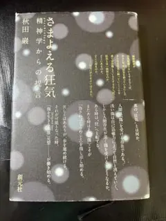 さまよえる狂気　秋田巌　　創元社