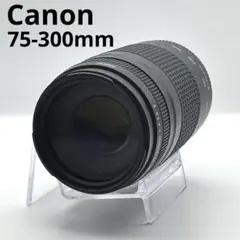 Item thumbnail for item 22c1528e-03a1-4df5-84a0-1c3c9b71057d