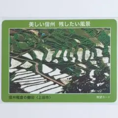 Item thumbnail for item 3b9aca68-97cf-4cb3-9567-79b83fe3d53a