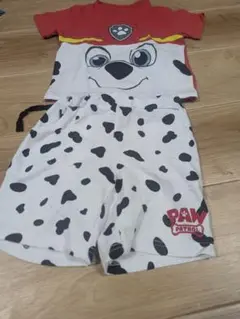 セットアップ　パウ・パトロール