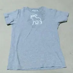 美品　アバクロ　半袖Tシャツ　グレー　М