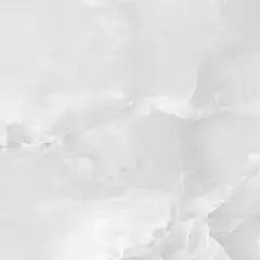 専用ページ