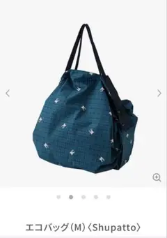 Item thumbnail for item ff8275ad-0410-488c-8180-f052ce800cc4