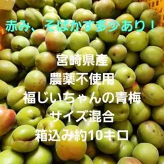 梅　農薬不使用　かめきちどん　１０キロ箱込み e0860697d124aca117e3cf082f6971