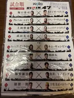 【非売品/未使用】RIZIN47フライヤー♪おまけ付き♪
