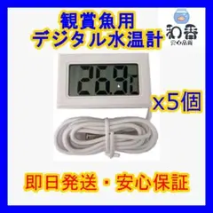 観賞魚用デジタル水温計白5個 めだか金魚熱帯魚水槽に最適PSBクロレラ同梱可Z