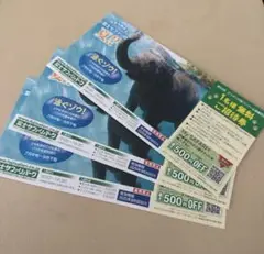 富士サファリパークチケット無料券　3枚　即日発送　メルカリ便　匿名配送　速達