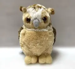 CUTE フクロウ　ワシミミズク　ぬいぐるみ