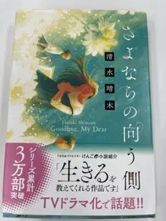 さよならの向こう側 清水晴木
