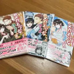 騎士団長は元メガネ少女を独り占めしたい。　全3巻