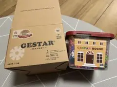 GESTAR〜天才の始まり〜 480pcs+40pcs