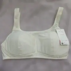 Item thumbnail for item 6fe3f3f5-4dcb-4627-be71-7facef3a26fa