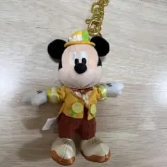 ディズニーランド　ミッキー