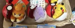 【専用】 ぬいぐるみバッジINモンスターボールケース パモ メタモン ピカチュウ