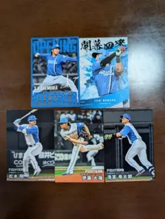 プロ野球チップス2025第2弾　日本ハムファイターズ