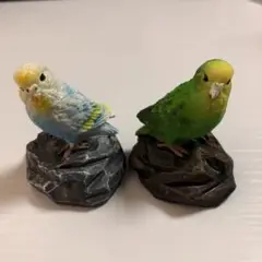 リトルフレンド インコ 2個セット　飾り 置き物 オブジェ 小鳥 鳥 雑貨