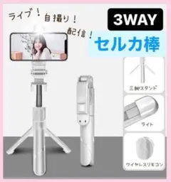 Item thumbnail for item 745aa347-d3c8-43dc-80de-d3fba7a33bf3