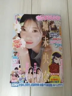 ヤングジャンプNo.16