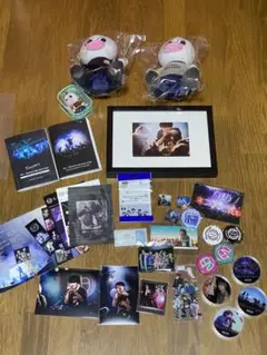 竹中雄大（Novelbright）サイン入り生写真・ピック 直筆サイン入り Novelbright LIVE Photo 公式写真 竹中雄大