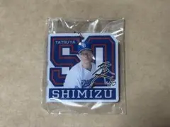 中日ドラゴンズ ガチャ アクリルキーホルダー 清水達也