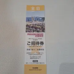 ニューヨークランプミュージアムu0026フラワーガーデン 全日 ペア招待券