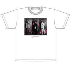 ChevonフォトプリントTシャツ　Lサイズ