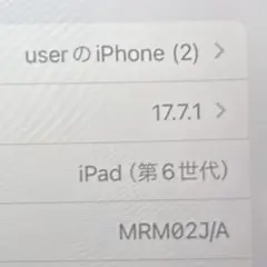 Apple iPad (第6世代) 10.2インチ MRM02J/A ペン付き
