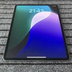 100【早い者勝ち】 iPad Pro 12.9 3世代 64GB グレイ