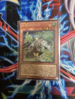 遊戯王　風霊媒師ウィン