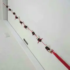 Item thumbnail for item 9cf815a1-e11b-42a4-aa36-a47cf797bdd7