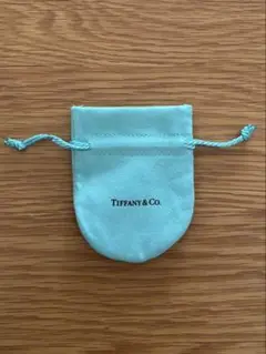 Tiffany & Co. アクセサリーケース ライトブルー