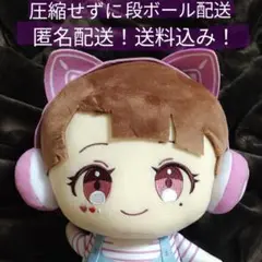 【匿名配送】段ボール配送　人気実況者TAMAchan おすわりBIGぬいぐるみ