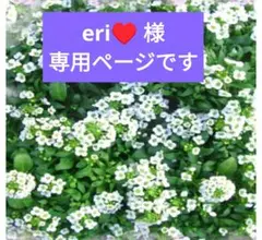 専用ページです