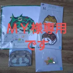 【ＭＹ様　専用】爬虫類 ＆ 両生類 vol.2　一番くじ　下位賞　5点