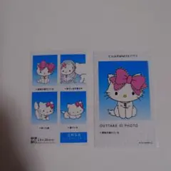 チャーミーキティ　証明写真　NG
