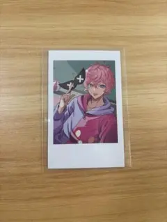 Crazy Raccoon ランダムセルフィーカード ふらんしすこ