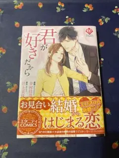 君が好きだから