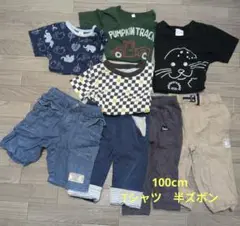 男の子　100cm　半袖Tシャツ、半ズボンまとめ売り