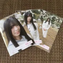 櫻坂46 稲熊ひな 12th 制服 生写真 コンプ