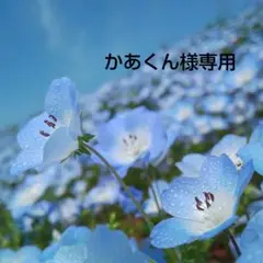 かあくん様専用