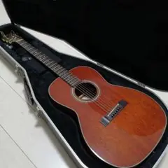 2025年最新】TAKAMINE PT-406の人気アイテム - メルカリ