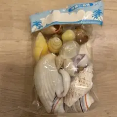 Item thumbnail for item 46847580-6755-40f0-ba10-a13fda38f11d