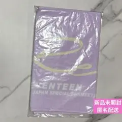 SEVENTEEN HARE フェイスタオル SVT 新品未開封
