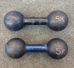 【使用品】鉄アレイ5kg×2個セット