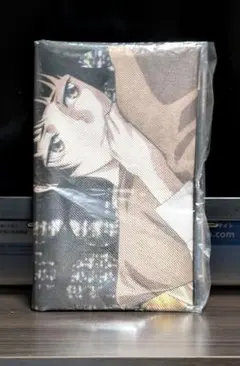 PSYCHO-PASS PROVIDENCE 特典 常守朱 布ポスター
