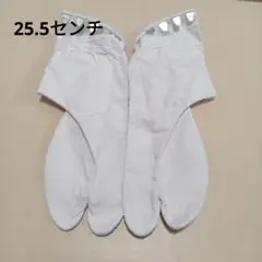 Item thumbnail for item 1ed2e5a4-f8ad-47f3-b331-1bad765df07d